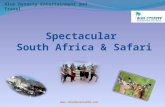 Spectacular South Africa & Safari