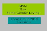 Msm Focus Group Ppt 2010