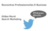 Rencontres professionnelles e-business Rennes 1 - Gildas Marot