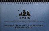 Animal Law Kazakhstan