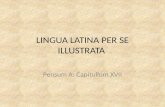Lingua latina per se illustrata pensum a