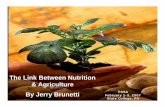 The Link Between Nutrition & Agriculture