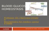 Blood glucose homeostasis revised