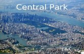 Usa   New York   Central Park (Sd)