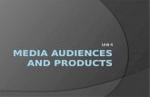 Media audiences and products