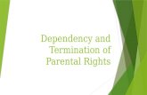 Dependency and Termination of Parental Rights