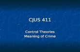 Control theories meaning of crime