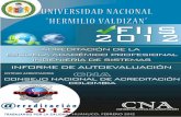 Autoevaluacion Universidad Nacional Hermilio Valdizán_peru_2012