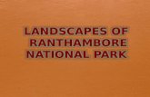 Landscapes of ranthambore