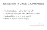 Networking in Virtual Environments Virtualization – Why do I care?