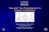 Tea against Cancer