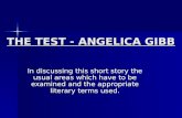 The test   angelica gibb