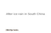 After Ice Rainin South China