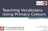 Teaching vocabulary using primary colours