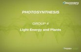 Group 4 photosyntheis Presentation-MSP