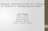 Pharmacophore model
