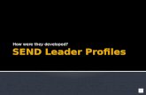 SEND leader profiles - How they were developed