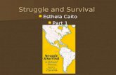 Struggle and survival part1