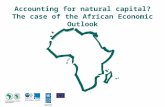 Accounting for natural capital - The case of the African Economic Outlook