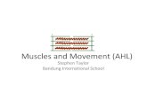 Muscles and-movement-1234351448174504-1