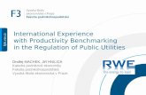 International Experience with Productivity Benchmarking in the Regulation of Public Utilities