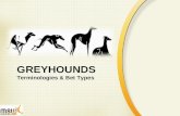 Greyhound Training Module