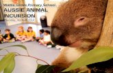 Wattle Grove Primary School - Aussie Animal Incursion