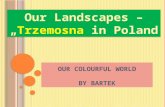 My village Trzemosna - our landscapes