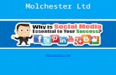 Social Media Optimization - How It Helps Your Business & Brand