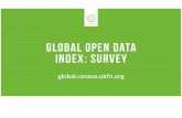 Global Open Data Index presentation