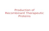 4. production of recomb. proteins