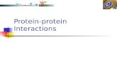 Biotech 2012 spring-6_protein_interactions_0