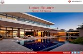 Lotus square sector 98