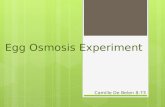 Camille's Egg osmosis experiment 873