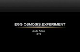 Jaydin Egg osmosis experiment