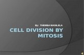 Mitosis presentation final