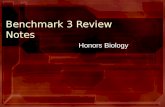 Benchmark%203%20 review%20notes[1]
