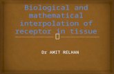 Biological & mathematical interpolation of receptors in tissue