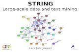 STRING: Large-scale data and text mining