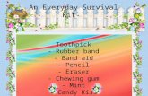 Everyday Survival Kit