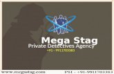 matrimonial detective agency in delhi, private detective service, detective