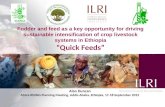 Quick feeds: Fodder and feed as a key opportunity for driving sustainable intensification of crop livestock systems in Ethiopia