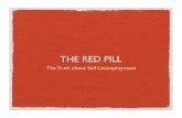 Red Pill - the Economics of Sustainable Self-Unemployment for Recovering Paycheck Addicts