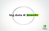 Big Data and Brands