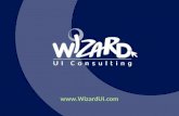 Wizard UI Consulting Projects 2010