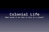 Colonial life overview