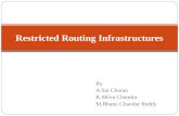 Restricted routing infrastructures PPT