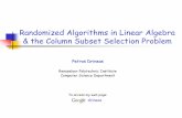 Randomized Algorithms in Linear Algebra & the Column Subset Selection Problem