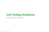 Unit Testing Guidelines