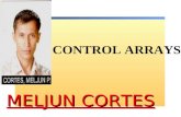 MELJUN CORTES VB.NET Control Arrays